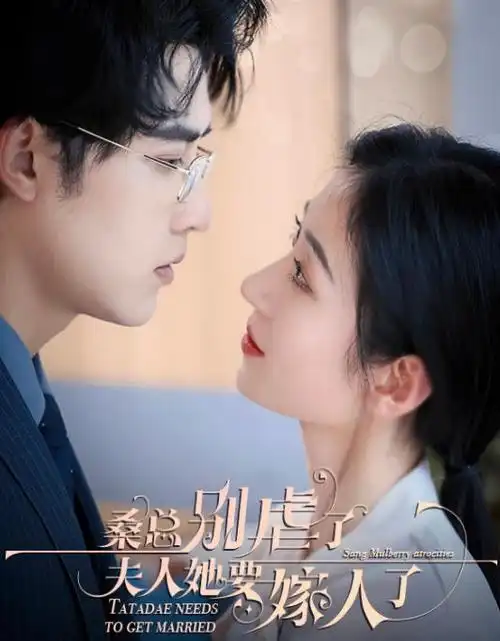 雾城纪事 热播电视剧全集免费观看